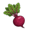 Beetroot