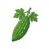 Bitter Gourd