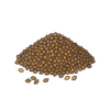 Carom Seeds