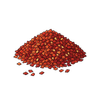 Chilli Seeds