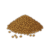 Coriander Seeds