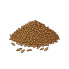 Cumin (Jeera)