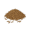 Cumin