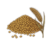 Finger Millet Flour