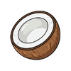 Fresh Coconut