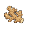 Ginger