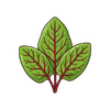 Gongura