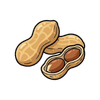 Groundnut