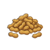 Groundnut
