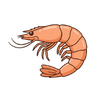 Small Prawns
