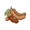 Tamarind